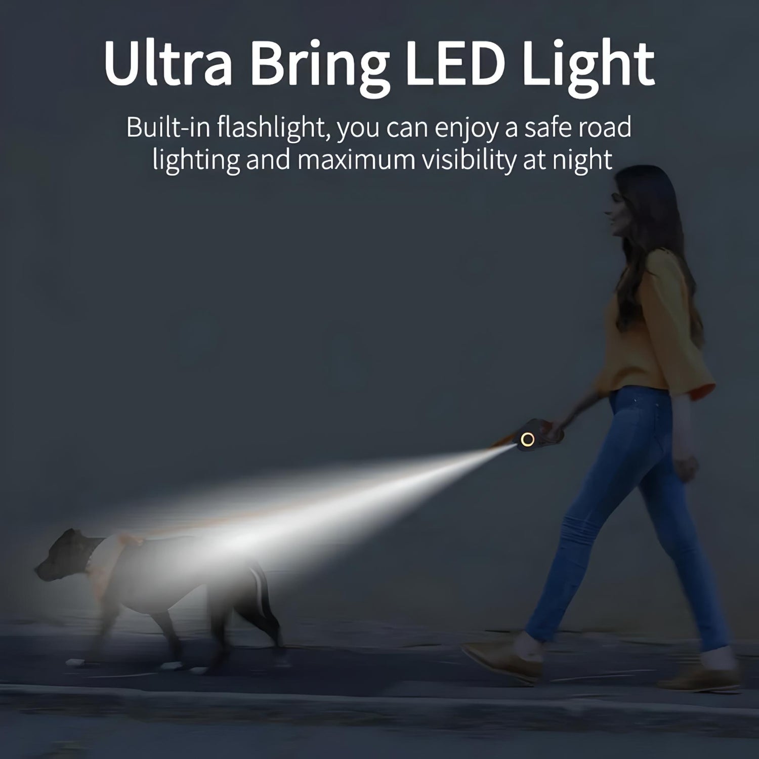 LED Hundesnor